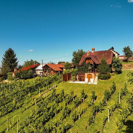 Holiday Home Wine & Relax Sveti Martin Na Muri Gornji Koncovcak Extérieur photo