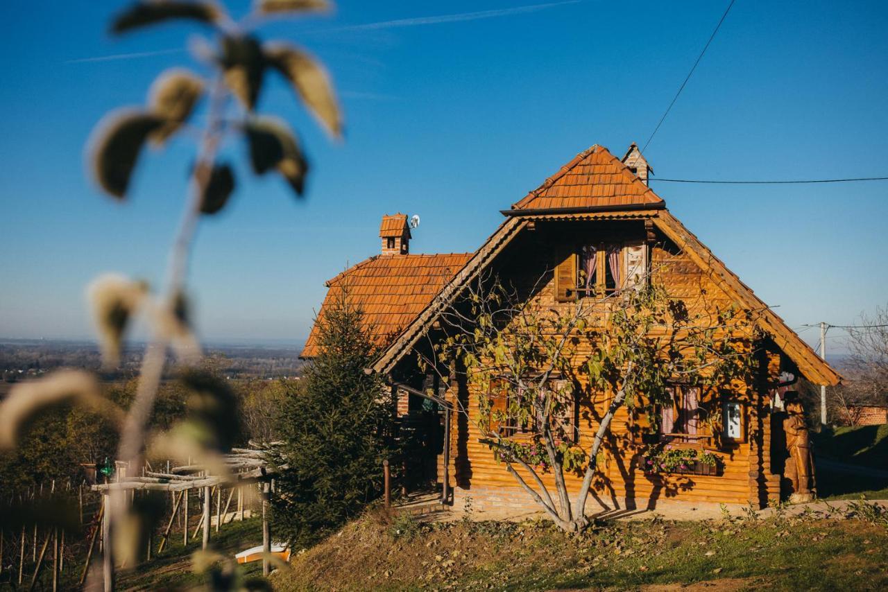 Holiday Home Wine & Relax Sveti Martin Na Muri Gornji Koncovcak Extérieur photo
