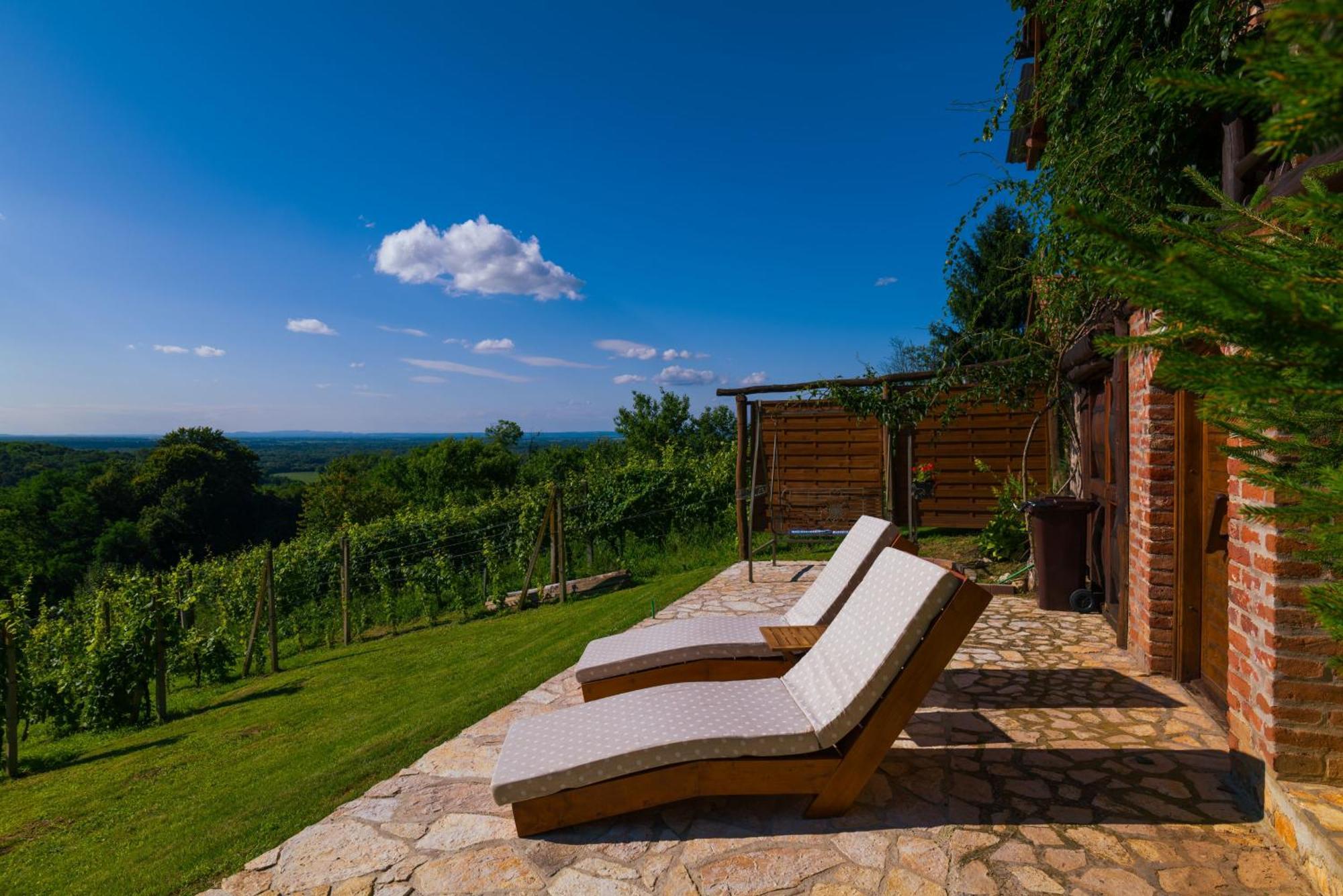 Holiday Home Wine & Relax Sveti Martin Na Muri Gornji Koncovcak Extérieur photo