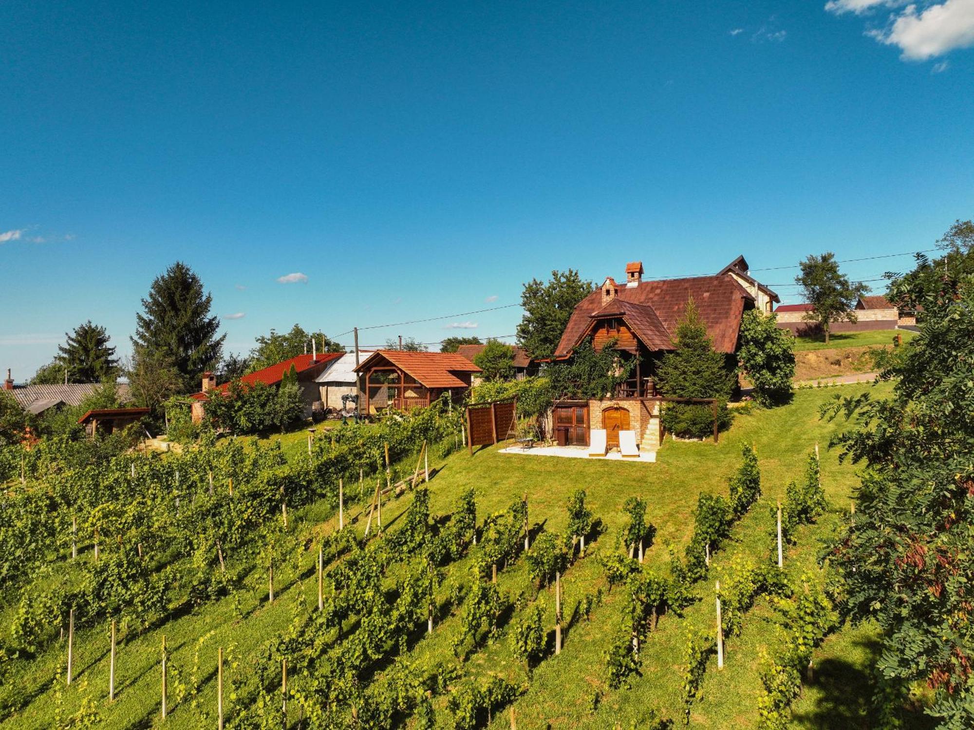 Holiday Home Wine & Relax Sveti Martin Na Muri Gornji Koncovcak Extérieur photo