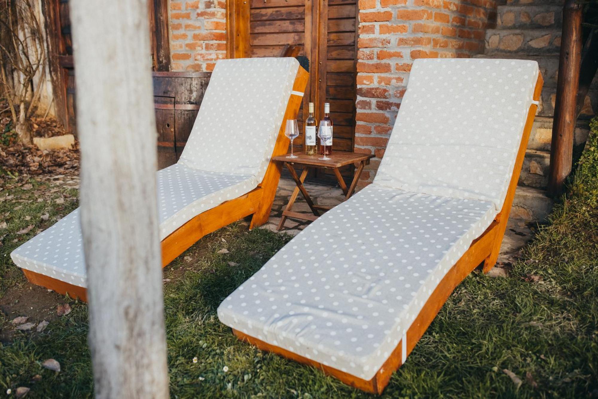 Holiday Home Wine & Relax Sveti Martin Na Muri Gornji Koncovcak Extérieur photo