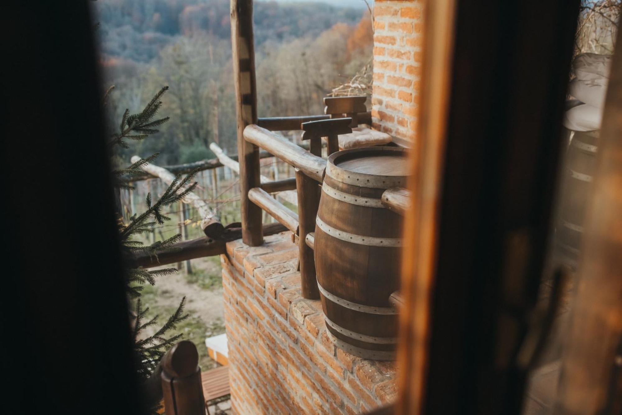Holiday Home Wine & Relax Sveti Martin Na Muri Gornji Koncovcak Extérieur photo